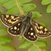 Butterfly Conservation Highland Branch (@bchighland) Twitter profile photo Butterfly Conservation Highland Branch (@bchighland) Twitter profile photo