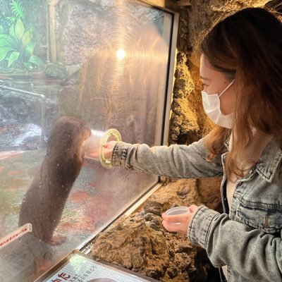 ami_ami_a's profile picture. VT🐶🐱🐰YouTube