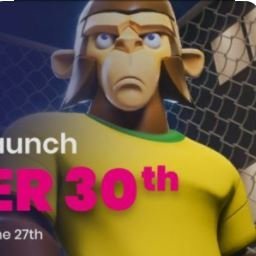 Sandycrypto3's profile picture. 