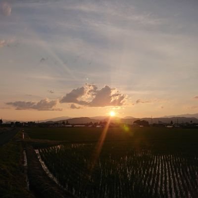 cltakfl1's profile picture. 