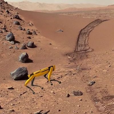 TranThien1711's profile picture. Chat vui thôi