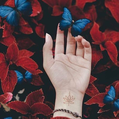 يا اهلا وسهلا معاكم موده… خريجة محاسبة انشر لكم تجربتي في دراسة المحاسبة و ما يتعلق فيها، و يارب تكون مفيده للجميع ☺️💗