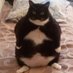 Big Chungus (@999bigchungus) Twitter profile photo Big Chungus (@999bigchungus) Twitter profile photo