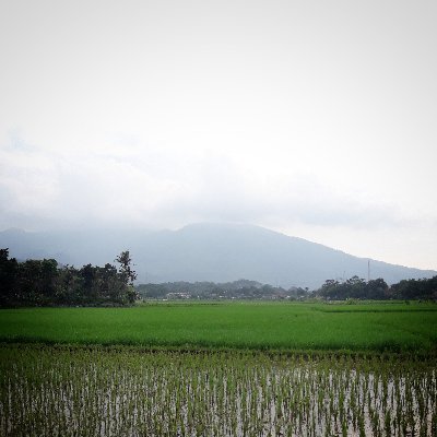 Love @nying2prabowo