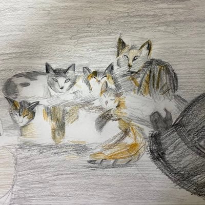 sleepyyaong's profile picture. 