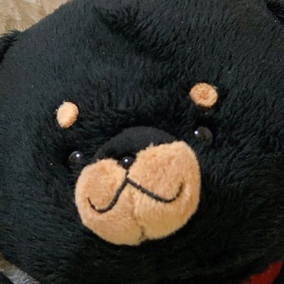 まめ大福さんのプロフィール画像