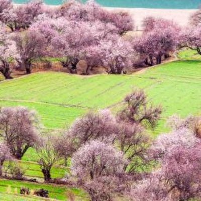 ADA JUDITH MONTAÑO GARCIA Profile