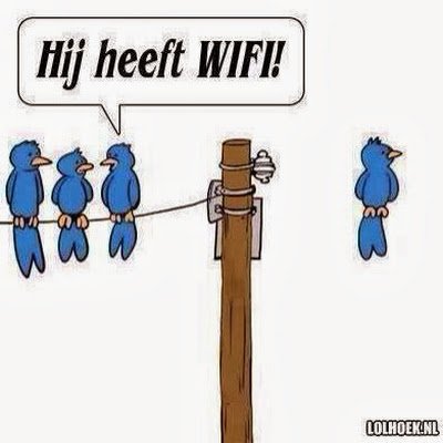 hovenCPA's profile picture. Direct manager carrebian, int. Manager,