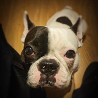 M (@penoirel) 's Twitter Profile