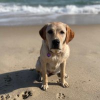 Doc Harmon (@harmonmt) 's Twitter Profile