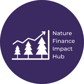 Pinpointing the financial and environmental benefits of nature-positive projects.