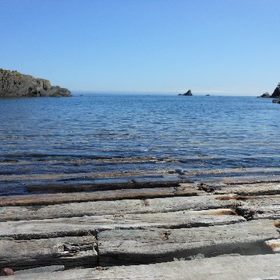 Hisham69463515's profile picture. Teacher