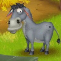 Ameerkashlan (@kharaalak) 's Twitter Profile