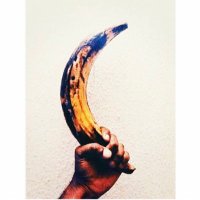 The Plantain Lifestyle(@DodoGang_) 's Twitter Profile Photo