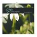 World Organic (@worldorganicnz) Twitter profile photo World Organic (@worldorganicnz) Twitter profile photo