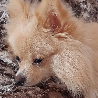 Robin187562725's profile picture.