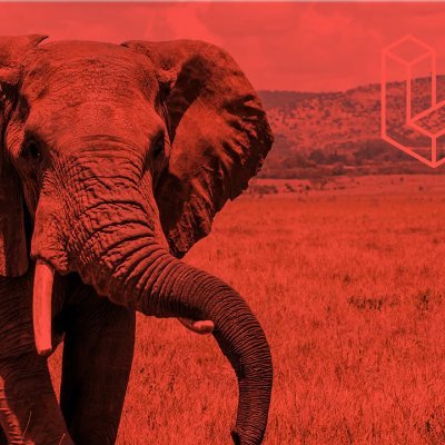 MasteryLaravel's profile picture. Torne-se um profissional Laravel