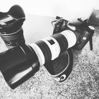 @calrossphotography (@calrossphotos) 's Twitter Profile
