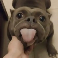 牛俊生 (@mate67879966) 's Twitter Profile