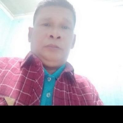 Pengacara