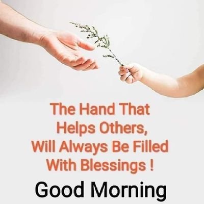 Tiger77681361's profile picture. 