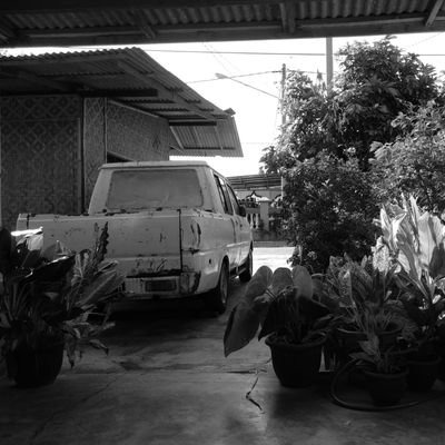 hrlsagraa's profile picture. 🔥 Music Everywhere 🔥 Creator Video 🔥 Great Dreamer.

This is our thoughts, but We will never know if we never try.