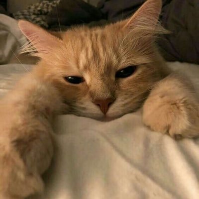 naoncesaid's profile picture. blah blah