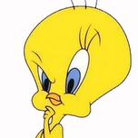 BigBirdNews's profile picture. In Stonks We Trust