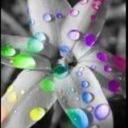 sabrina paschal - @shortbrina - Twitter