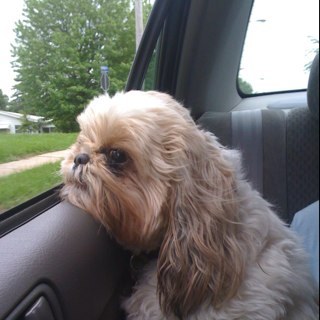 hrk1028's profile picture. 