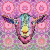 Space Goats on Acid NFT (@s_g_o_a_t) 's Twitter Profile