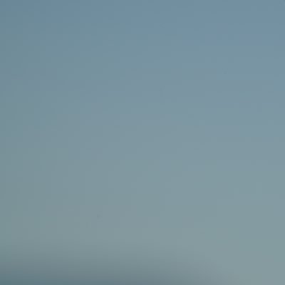 bogoarj's profile picture. senior bachelorette analyst