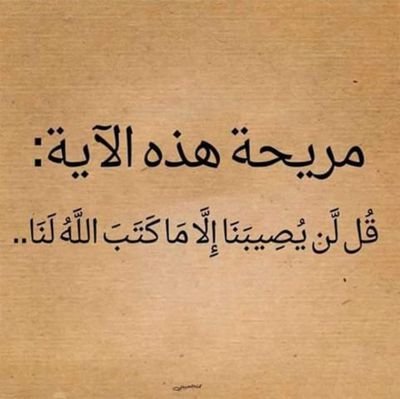 احب المطالعة