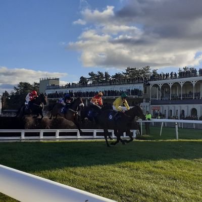 Racing journo and tipster for https://t.co/VVicr2WQ5a HWPA/ ROA member, hoof owner, ex-administrator and jockey's agent. 5 GB courses to go.