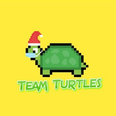 Team Turtles is a NFT collection. #NFTs Unique collectible Turtles that are in need of a owner! #SaveTheTurtles #Crypto #Trending