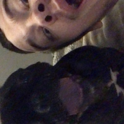 BastianBrd's profile picture. 