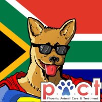 NiFTy Bear (@neeri_naidoo) 's Twitter Profile