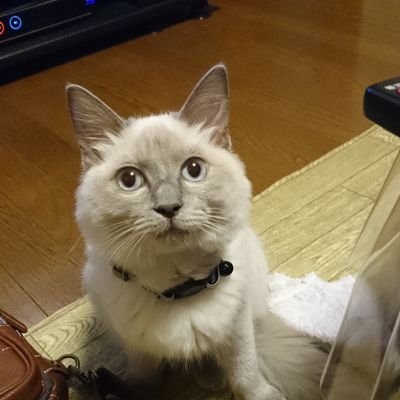 M-Iらーめん大好き！