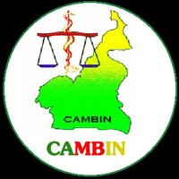 Cameroon Bioethics Initiative (CAMBIN)(@CambinBioethics) 's Twitter Profile Photo