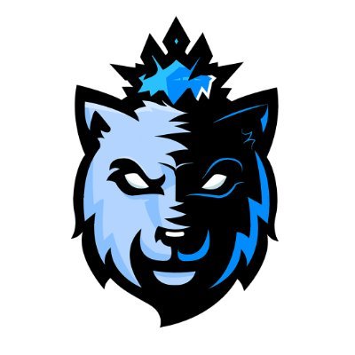 OFFICIAL ICE eSports acc Professional eSport Team FIFA22 / NBA2K22