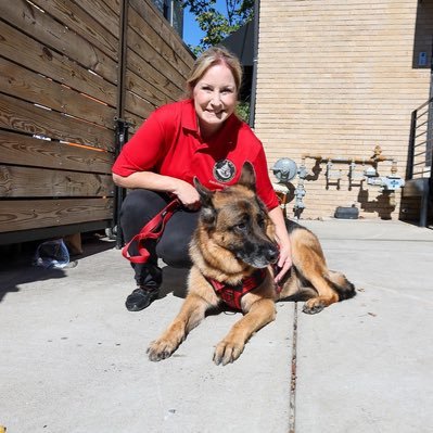 Levi - IAFF L36/ DCFD Peer Support Team K9