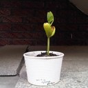 in jae ryu - @dlswo105 - Twitter