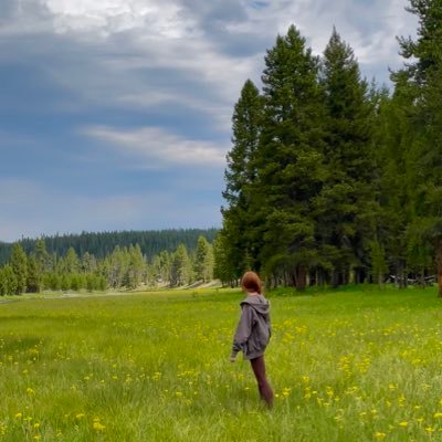 katiebooth1211's profile picture. 