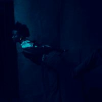 Aànu (@aanumacaulay) 's Twitter Profile