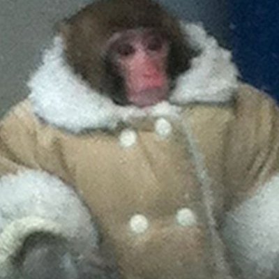 Bampeur's profile picture. 