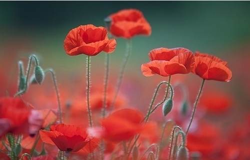 YouthFulJung728's profile picture. 보듬고, 노래하고, 함께 가는 세상
모든 웃음은 눈물 근처에 있다!
커피 그리고 문화감성으로 교감하는 모든 이들에게