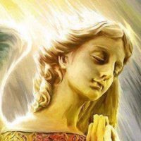 hosshi (@aozora_8291) 's Twitter Profile Photo