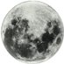 🌖 (@dalloga_) Twitter profile photo 🌖 (@dalloga_) Twitter profile photo