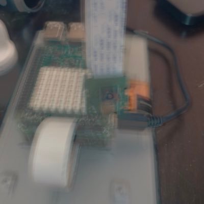 skylark_sakr's profile picture. 