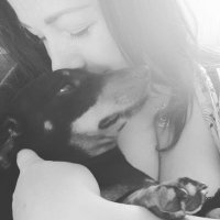 Harleen Quinzel (@harleenqzel40) 's Twitter Profile